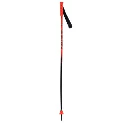 Rossignol Hero GS-SG Junior Poles 2024 -Get More From Ski. 22d5afb599d9be1896bc4da985c5dc28 413ff907 f3cb 4043 9f41 8d1d072c0c2d